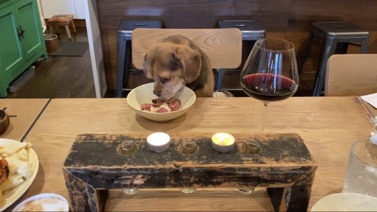 Curbing Separation Anxiety Before Returning to Work 3 served