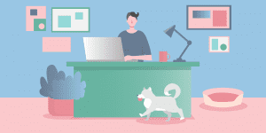 Blog 27 dog walking software