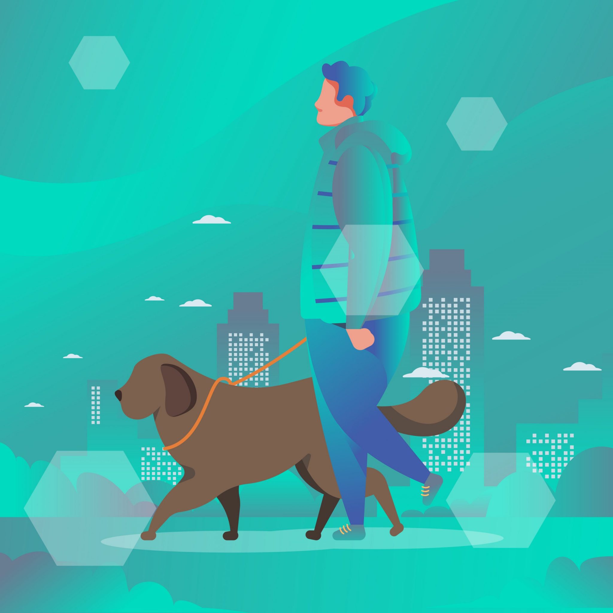 Dog Walking Basics Urban Tailz Chicago's Dog Walkers